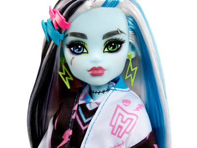 MONSTER HIGH PAPUSA FRANKIE STEIN CU ANIMALUT SI ACCESORII - Img 3