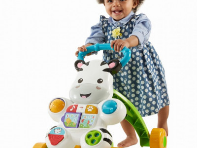 ANTEPREMERGATOR ZEBRA FISHER PRICE - Img 3