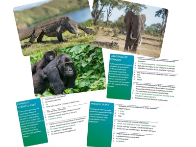 JOC INTERACTIV LUMEA ANIMALELOR IN LIMBA ROMANA - Img 3