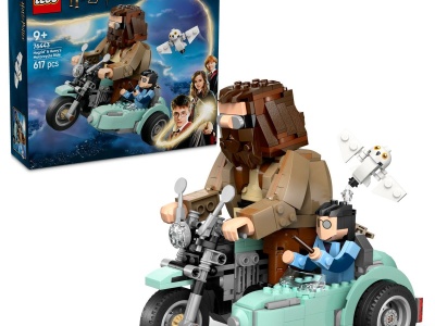 LEGO HARRY POTTER TM HAGRID SI HARRY PE MOTOCICLETA 76443 - Img 4