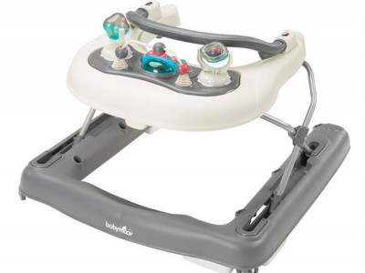 Babymoov - Premergator Walker 2 in 1 Zinc - Img 1