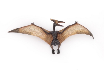 PAPO FIGURINA DINOZAUR PTERANODON - Img 4