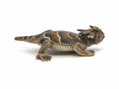 PAPO FIGURINA SOPARLA CU COARNE - Img 2