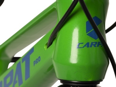 Bicicleta Copii MTB-FS Carpat 20" C20344A, Verde/Albastru - Img 9