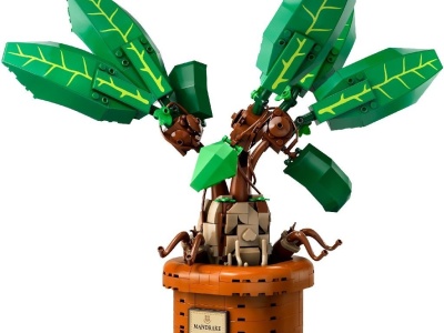 LEGO HARRY POTTER TM MATRAGUNA 76433 - Img 2