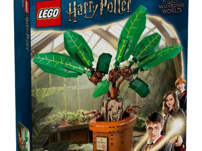 LEGO HARRY POTTER TM MATRAGUNA 76433 - Img 1