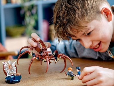 LEGO HARRY POTTER TM ARAGOG IN PADUREA INTERZISA 76434 - Img 3