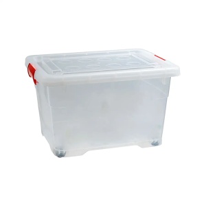 Cutie alimentara 50L+ roti