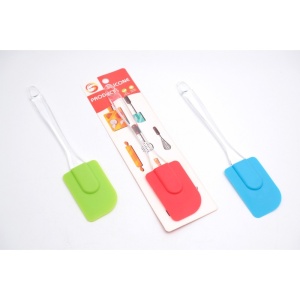 Paleta silicon