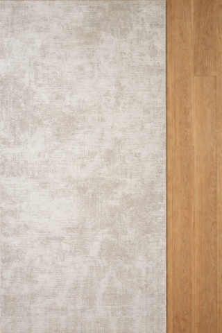 Covor Premium Livario Premium Stone - F179A CREAM CREAM - Img 3