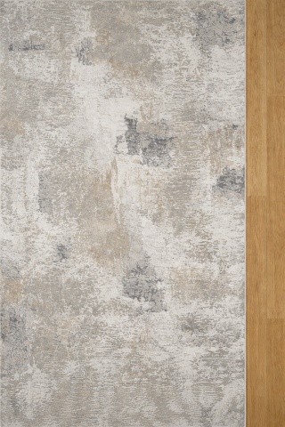 Covor Premium Livario Premium Stone - T014A CREAM SILVER - Img 3
