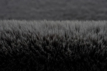 Covor Livario Pufos Blana Softdream Graphite - Img 4