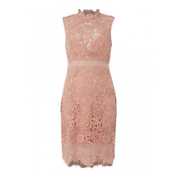 Lace Panel Shift Dress