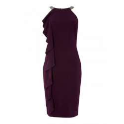 Shift Dress With Embellished Neck And Ruffle