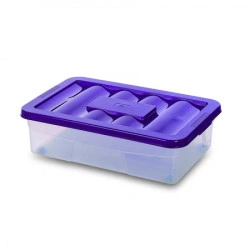 Cutie depozitare transparenta cu roti, cu capac color - Gensini cm 60 x 40 x 18-h, 30 litri