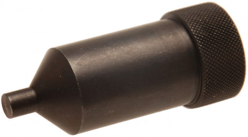 BGS 8152-19 Bolt de blocare arbore cotit distributie motoare Citroen / Peugeot