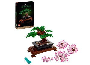 Bonsai 10281