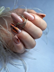 Jelly Gel Builder BOMESEL 024 - TPO Free