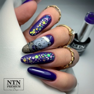 Oja semipermanenta Ntn Premium TPO free 069 After Midnight Collection - Img 3