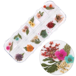 Flori uscate pentru decorarea unghiilor tip E
