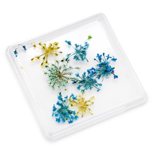 Flori uscate pentru decorarea unghiilor D21