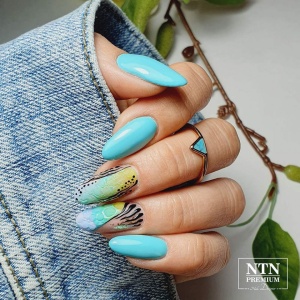 Oja semipermanenta Ntn Premium Dessert Collection 95 