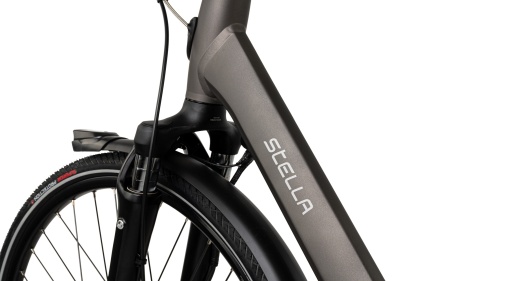 Bicicleta Electrica Stella Livorno Dama FDST RTE 2.1 - 28 Inch, L, Gri - Img 5