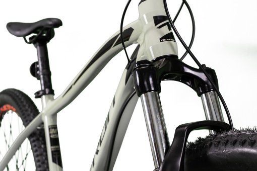 Bicicleta Mtb Devron Riddle 2023 RM2.9 - 29 Inch, L, Gri - Img 3