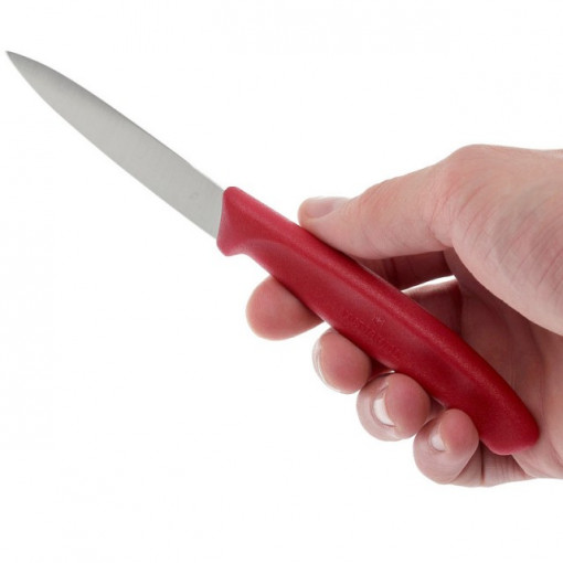 Cutit Victorinox pentru decojit, lama 8cm - 6.7601 proportii in mana