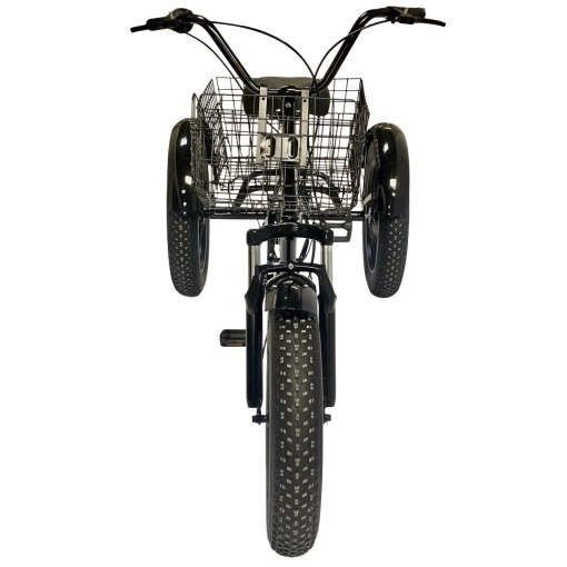 Tricicletă adulți BR Pro2025, 20", 7 viteze, frâne pe disc, cadru din oțel 15", gri - Img 3
