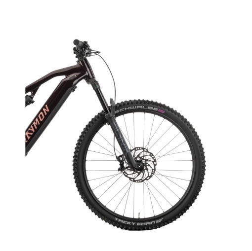 Bicicleta Electrica Raymon Full Suspension Trailray 150 Pro 2025 - 29 Inch, L, Negru - SLX - Img 5