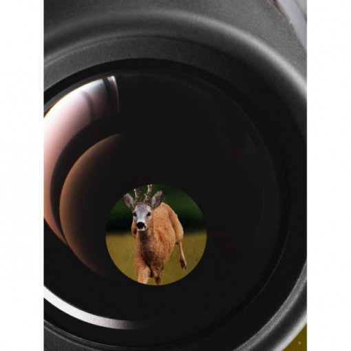 Binoclu Blaser Primus 10x42 - VBL.80400923 - Img 5
