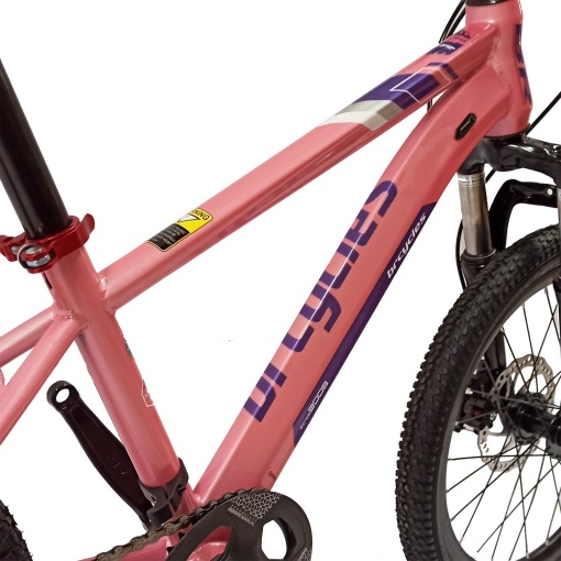Bicicletă copii BR Inspire 20", 7 viteze, frâne pe disc, cadru oțel 12", manete Revoshift, roz, varsta 7 - 10 ani - Img 12