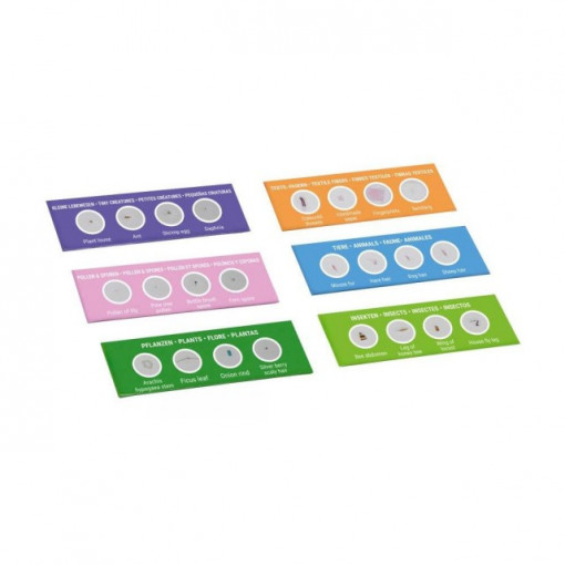 Set preparate pentru microscop Bresser Junior 8859470 2