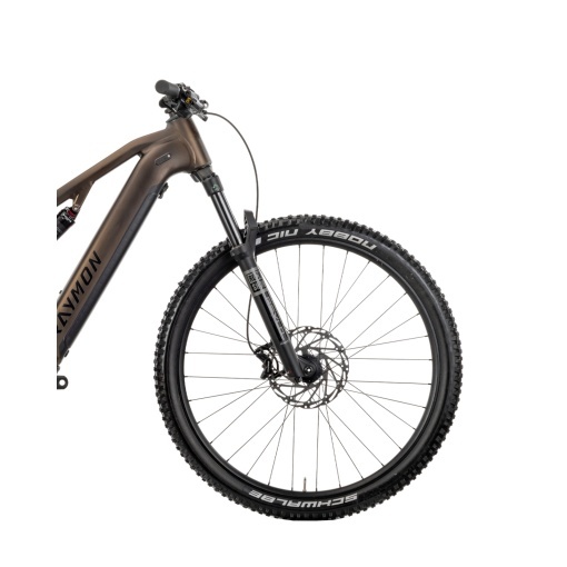 Bicicleta Electrica Raymon Full Suspension Trailray 120 Pro 2025 - 29 Inch, M, Maro - Deore LG - Img 5