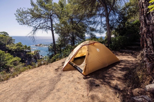 Cort Coleman Darwin 3 Summer - 2227923 - Img 12