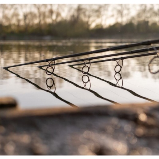 Lanseta Crap Daiwa D Carp 3.90m 3.5lbs - Img 2