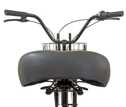 Tricicletă adulți BR Pro2025, 24", 7 viteze, frâne pe disc, cadru din oțel 15", gri - Img 18