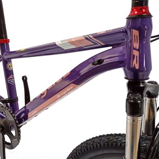 Bicicletă copii BR Inspire 20", 7 viteze, frâne pe disc, cadru oțel 12", manete Revoshift, mov, varsta 7 - 10 ani - Img 5