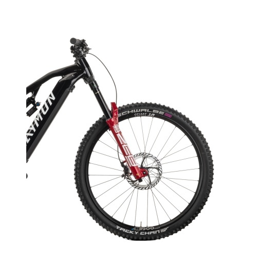 Bicicleta Electrica Raymon Full Suspension Trailray 170 Ultra 2025 - 29 Inch, L, Negru - XT - Img 5