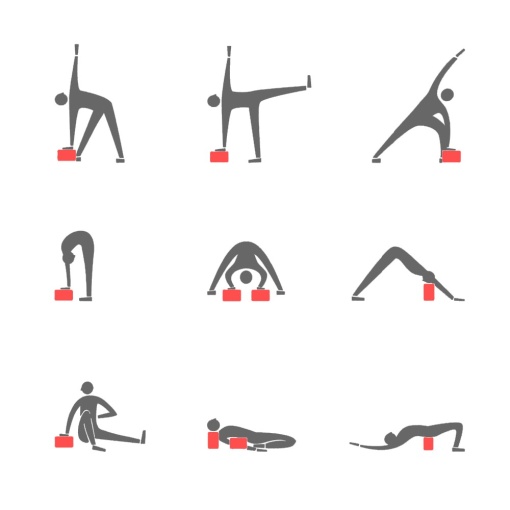Set Yoga 2 in 1 inSPORTline Hiden - Img 6