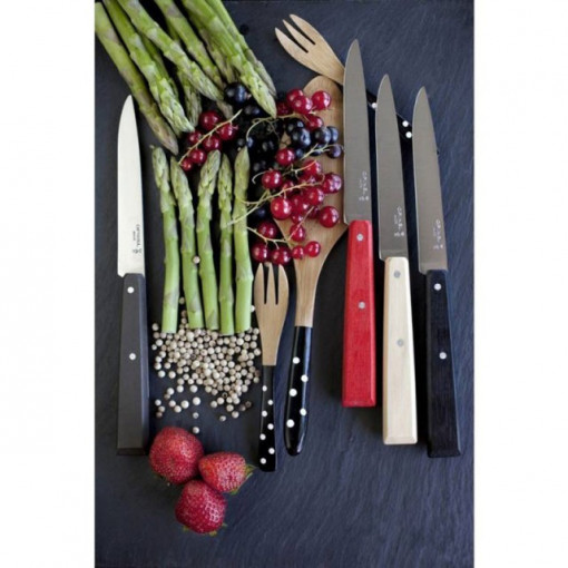 Set Opinel pentru Friptura, 4 cutite lama 10.7cm - 001534 2