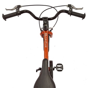 Bicicletă copii BR Neptune Kids 16", cadru oțel, rosu, varsta 4 - 6 ani - Img 12