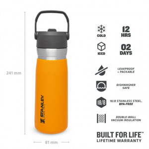 Sticla Apa Stanley The IceFlow™ Flip Straw Water Bottle Saffron 0.65L - 10-09697-010 2