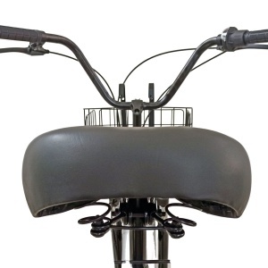 Tricicletă adulți BR Pro2025, 20", 7 viteze, frâne pe disc, cadru din oțel 15", negru - Img 6