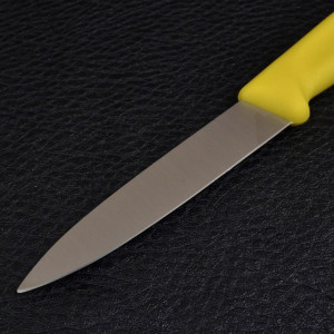 Cutit Victorinox pentru decojit, lama 10cm - 6.7706.L118 lama