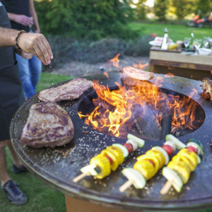Grill Taranis Standard Plus 4