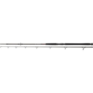Lanseta Somn Daiwa Exceler Catfish Boje 3m 200-600g