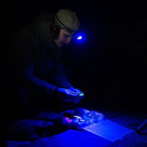 Lanterna Cap Vanatoare Ledlenser HF7R RGB 1200 Lumeni - Img 7