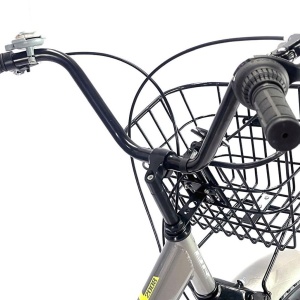 Tricicletă adulți BR Pro2025, 20", 7 viteze, frâne pe disc, cadru din oțel 15", gri - Img 9